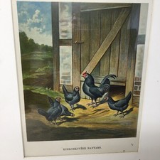 1888 julius vjolschau for sale  Bogart