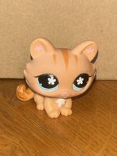Petshop chat sphynx d'occasion  Soisy-sous-Montmorency