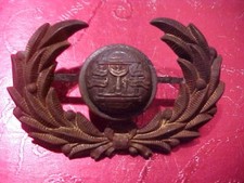 United confederate veterans for sale  Oshkosh