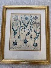 Pair large botanical for sale  INGATESTONE