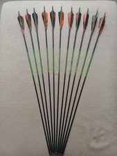 carbon pfeile gebraucht kaufen carbon pfeile gebraucht kaufen Bad Frankenhausen/Kyffhäuser