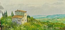Luciano torsi 20x40 usato  Pisa