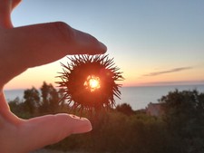 Sardinien last minute gebraucht kaufen  Bergheim
