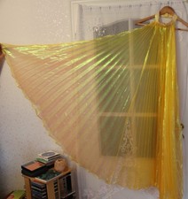 Erwachsene kinder isis gebraucht kaufen Erwachsene kinder isis gebraucht kaufen  Leck