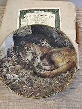 Rocky camp decorative for sale  TELFORD