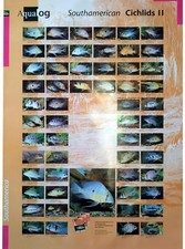 geophagus usato geophagus usato Spedire a Italy