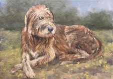 Original oil painting for sale  Centerburg