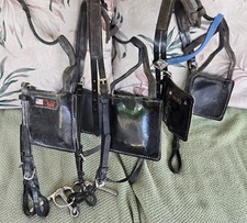 Driving bridle lot. for sale  Ravenna