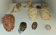 muscheln basteln gebraucht kaufen muscheln basteln gebraucht kaufen Weißenhorn