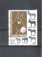 Italia 2007 asini usato  Strembo