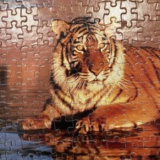 Tiger jigsaw puzzle for sale  East Palestine