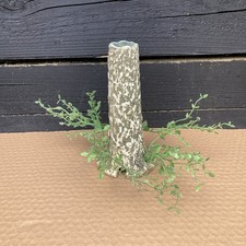 Biorb tube fish for sale  WARE