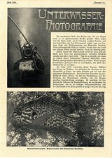 Unterwasser photographie helmt gebraucht kaufen  Niederkassel