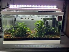 60cm 58l fish for sale  RUSHDEN