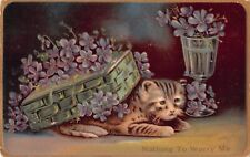 Adorable tabby kitten for sale  Unionville