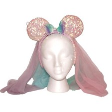 Disney parks resort for sale  Sacramento