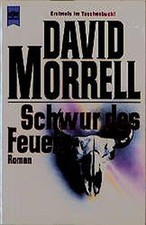 Schwur feuers david gebraucht kaufen  Berlin