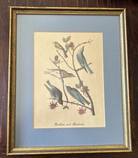 Vtg framed warblers for sale  Green Bay