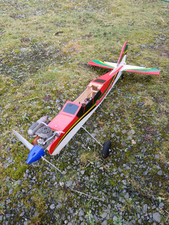 Seagull boomerang aeroplane for sale  HEXHAM