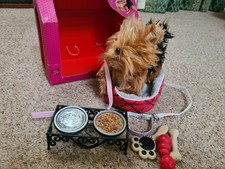 Generation yorkshire terrier for sale  IPSWICH