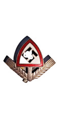 Spilla german r.a.d. usato  Villesse