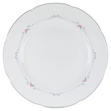 Speiseteller villeroy boch gebraucht kaufen  Kappeln