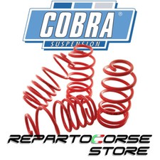 Molle cobra per usato  Italia