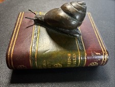 Maitland smith snail for sale  Potterville