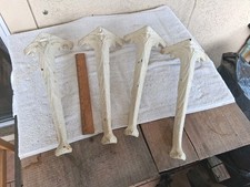 Antique ornate cast for sale  Pinellas Park