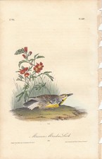 lithograph prints for sale  Cleveland