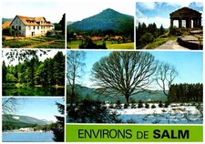 Salm ref s13676 d'occasion  France