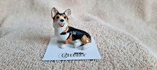 Little critterz dog for sale  Kalispell