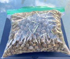 Organic rabbit bunny for sale  Jackson