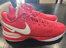 Nike zoom lebron for sale  Blackfoot