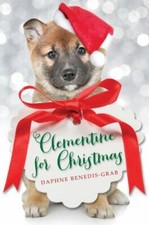 Young adult novel for sale  Mesquite