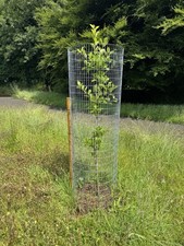 Galvanised welded mesh for sale  CAMELFORD