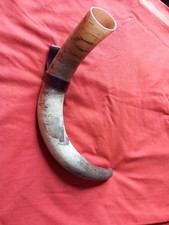 Cow horn medieval for sale Cow horn medieval for sale  TORRINGTON