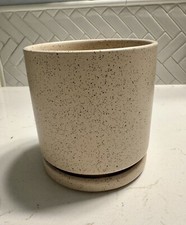 beige ceramic pot plants for sale beige ceramic pot plants for sale Norman
