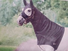 Bridleway flawless horse for sale  BRADFORD-ON-AVON
