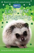 Little lost hedgehog for sale  UK