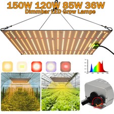 Dimmbar led grow gebraucht kaufen  Obertshausen