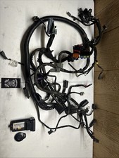 ARNÉS DE CABLEADO/MÓDULO DE SEGURIDAD SEÑAL DE GIRO HARLEY DAVIDSON DYNA 2006 Y LLAVERO segunda mano  Embacar hacia Mexico