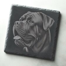 Cane corso dog for sale  STOCKTON-ON-TEES