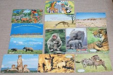 Stück tiere afrikas gebraucht kaufen  Deutschland