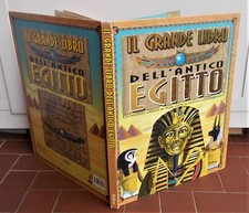 Libro pop grande usato  Settimo Torinese