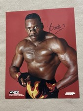 Wcw wrestling champion for sale  Aurora