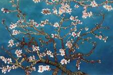 Amandier fleurs apres d'occasion  Toulon-