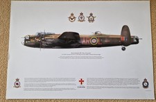 Squadron print design for sale  LINCOLN