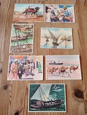 Sanella bilder 50er gebraucht kaufen  Ahlen-Dolberg
