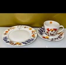Kaffeeservice blumentraum neu1 gebraucht kaufen  Herford